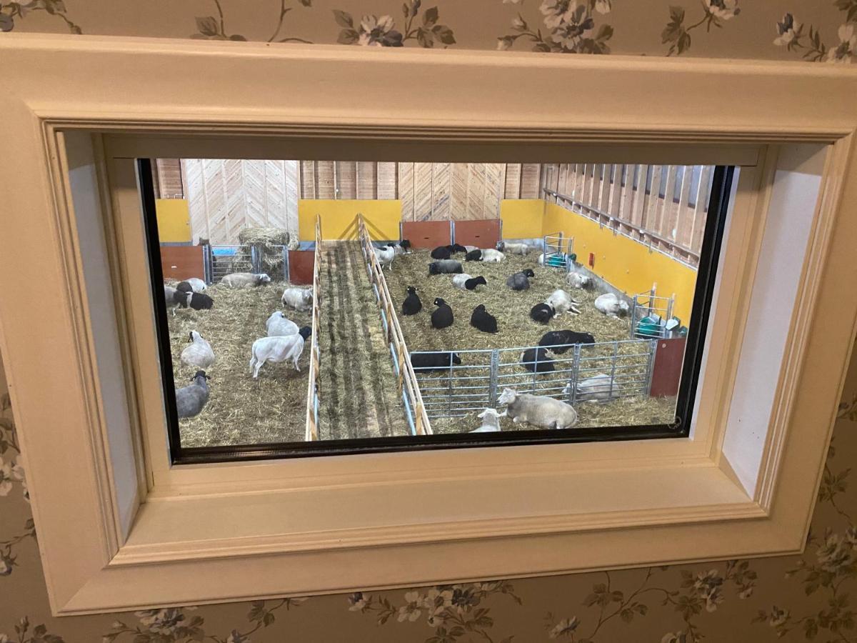 Newly Built Apartment Next Door To The Sheep Norrfjarden Ngoại thất bức ảnh